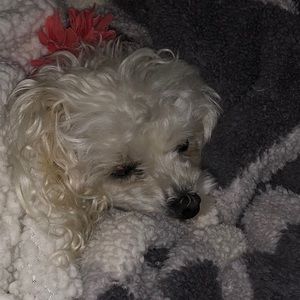 Meet your Posher, Courtney